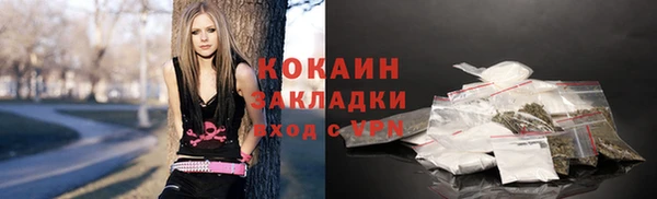 твердый Корсаков