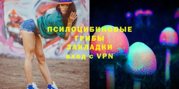 твердый Корсаков